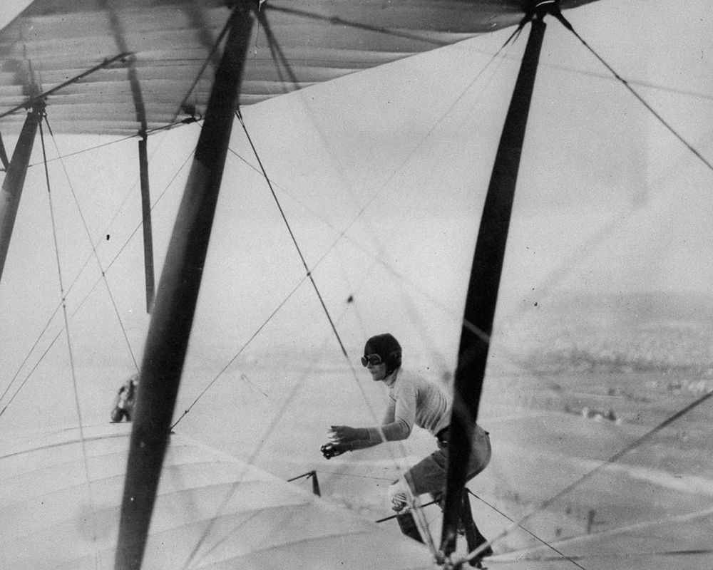 wingwalk.co.uk